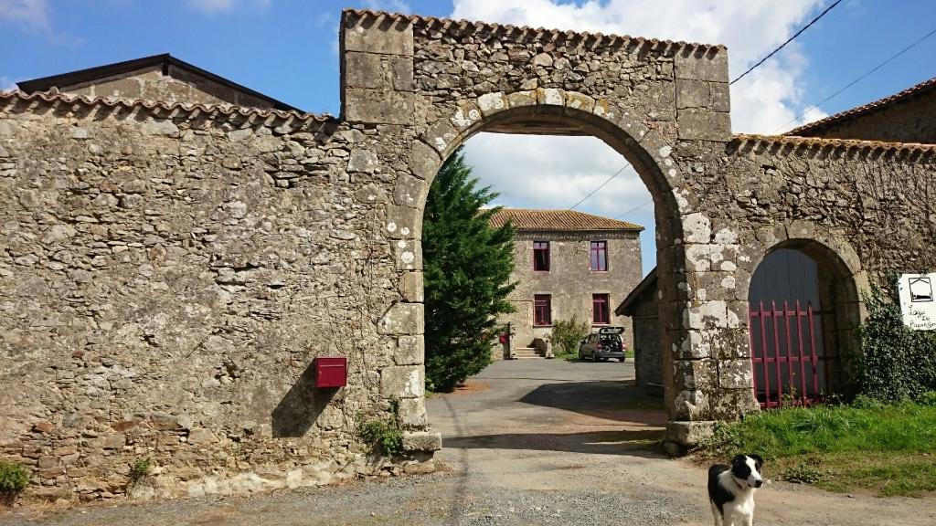 Logis De Riparfonds Bed & Breakfast Bressuire Bagian luar foto